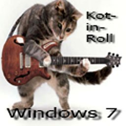 kot-kot