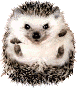 VITEKSV