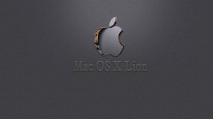 Lion 10.7.3(11D50) для MSI P35 Neo Combo (MS-7365) (образ установленной системы) (2012) Русский + Английский
