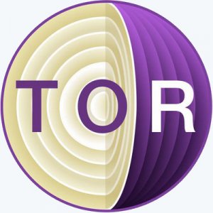 Tor Browser Bundle 14.0.8 (2025) PC