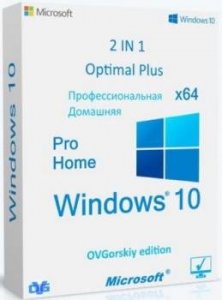 Windows 10 Pro-Home Optim Plus x64 22H2 RU by OVGorskiy 03.2025