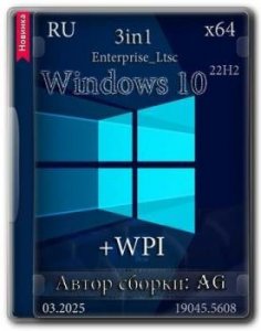 Windows 10 Русская 22H2 [19045.5608] 3in1 x64 WPI by AG 03.2025