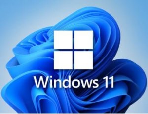 Windows 11 24in1 (incl. LTSC) +/- Office 2024 by SmokieBlahBlah 2025.03.18 [Ru/En]
