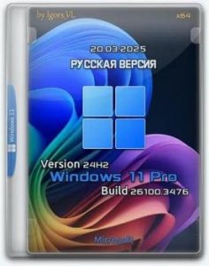 Windows 11 Pro 24H2 Build 26100.3476 by Igors_VL