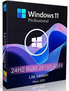 Windows 11 Pro 24H2 build 26100.4349 Lite