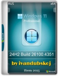 Windows 11 Pro 24Н2 Build 26100.4351 by ivandubskoj